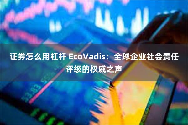 证券怎么用杠杆 EcoVadis：全球企业社会责任评级的权威之声