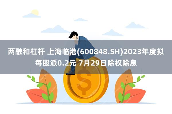 两融和杠杆 上海临港(600848.SH)2023年度拟每股派0.2元 7月29日除权除息