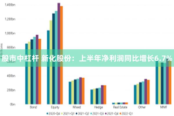 股市中杠杆 新化股份：上半年净利润同比增长6.7%