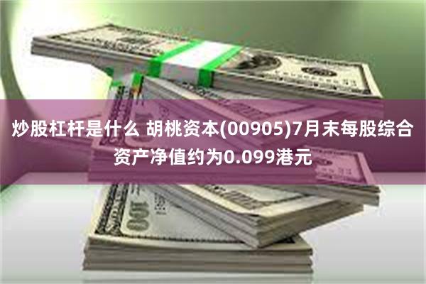 炒股杠杆是什么 胡桃资本(00905)7月末每股综合资产净值约为0.099港元