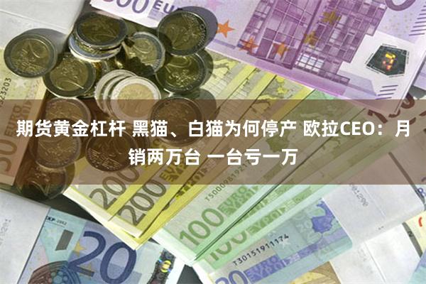 期货黄金杠杆 黑猫、白猫为何停产 欧拉CEO：月销两万台 一台亏一万