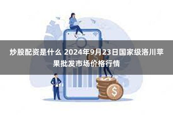 炒股配资是什么 2024年9月23日国家级洛川苹果批发市场价格行情