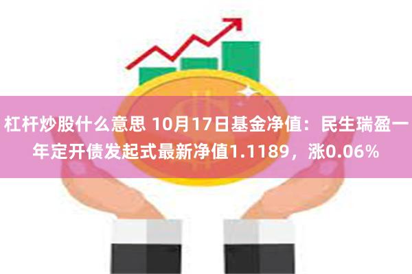 杠杆炒股什么意思 10月17日基金净值：民生瑞盈一年定开债发起式最新净值1.1189，涨0.06%