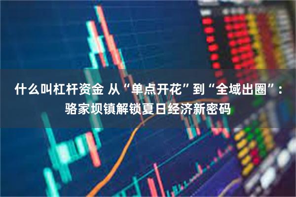 什么叫杠杆资金 从“单点开花”到“全域出圈”：骆家坝镇解锁夏日经济新密码