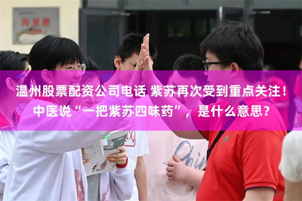 温州股票配资公司电话 紫苏再次受到重点关注！中医说“一把紫苏四味药”，是什么意思？